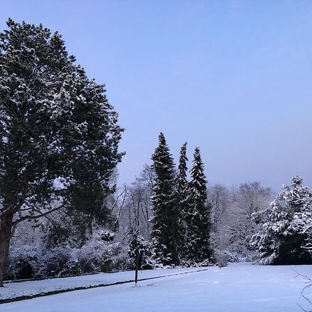 Ueber Den Daechern Von Koblenz - Aussichts-Wohnung Naturpark Rheinblick, Ruhig, Zentrumsnah, Sport-Pool Exterior foto